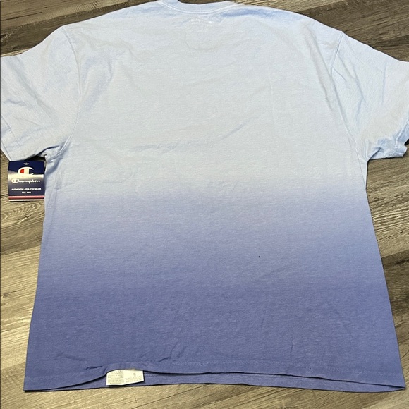 Champion Men's Light to Dark Blue Ombre Tee - Picture 2 of 4